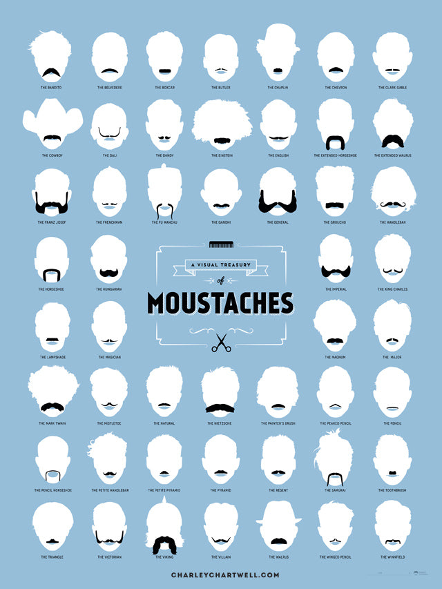 The Moustache - Movember